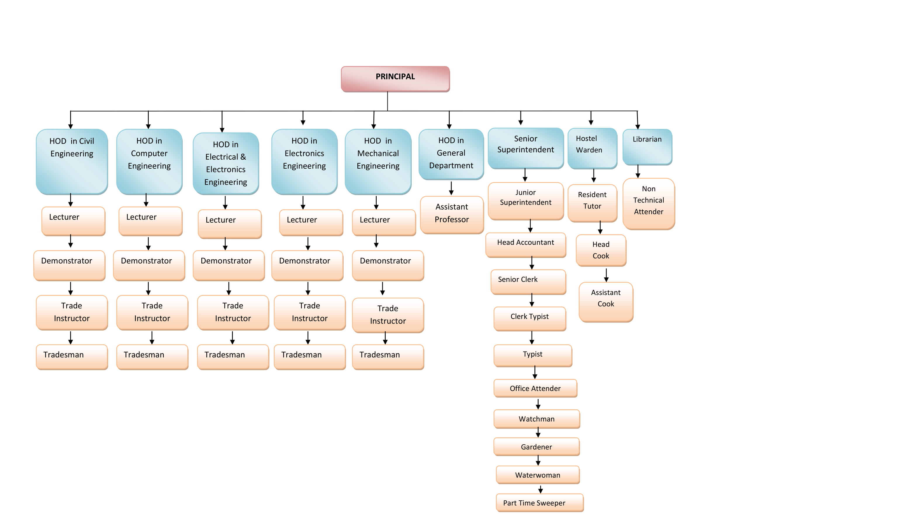 Mti Organisation Chart